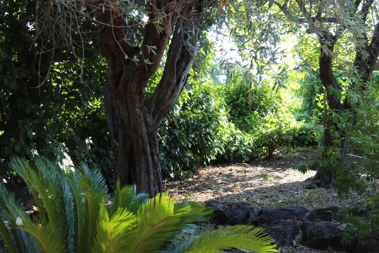 Il Giardino Dei Lucchesi - Country Houses Villa Aci Catena